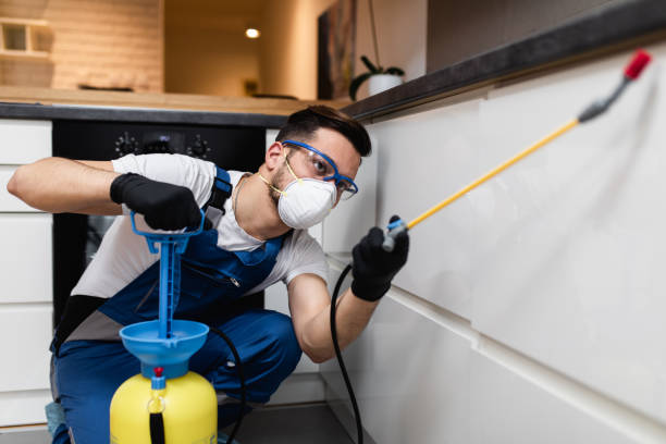Best Residential Pest Control  in Grandview, MO