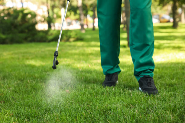 Trusted Grandview, MO Pest Control Experts