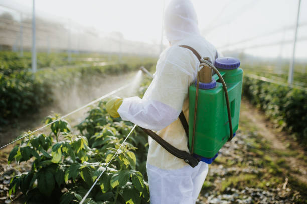 Best Insect Control  in Grandview, MO